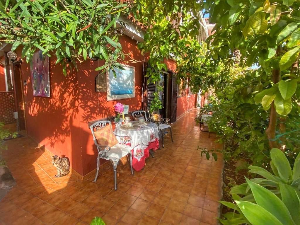 Moringa Garden Apartment *